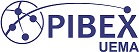 Pibex_site